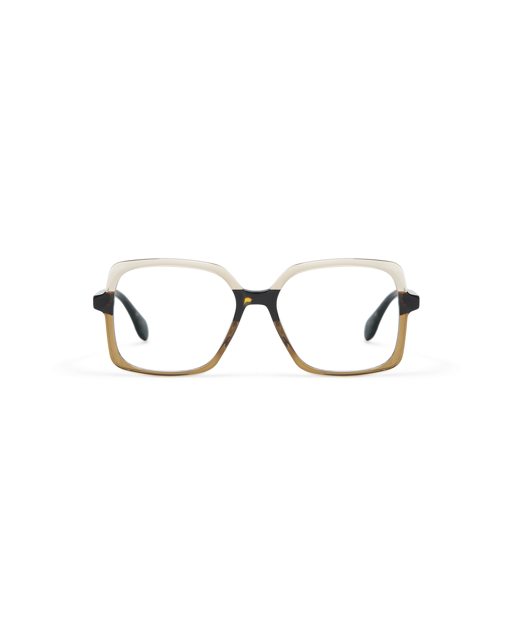 ARMINA: Cuadrada Acetato Marrón optical glasses by GIGI STUDIOS 10601