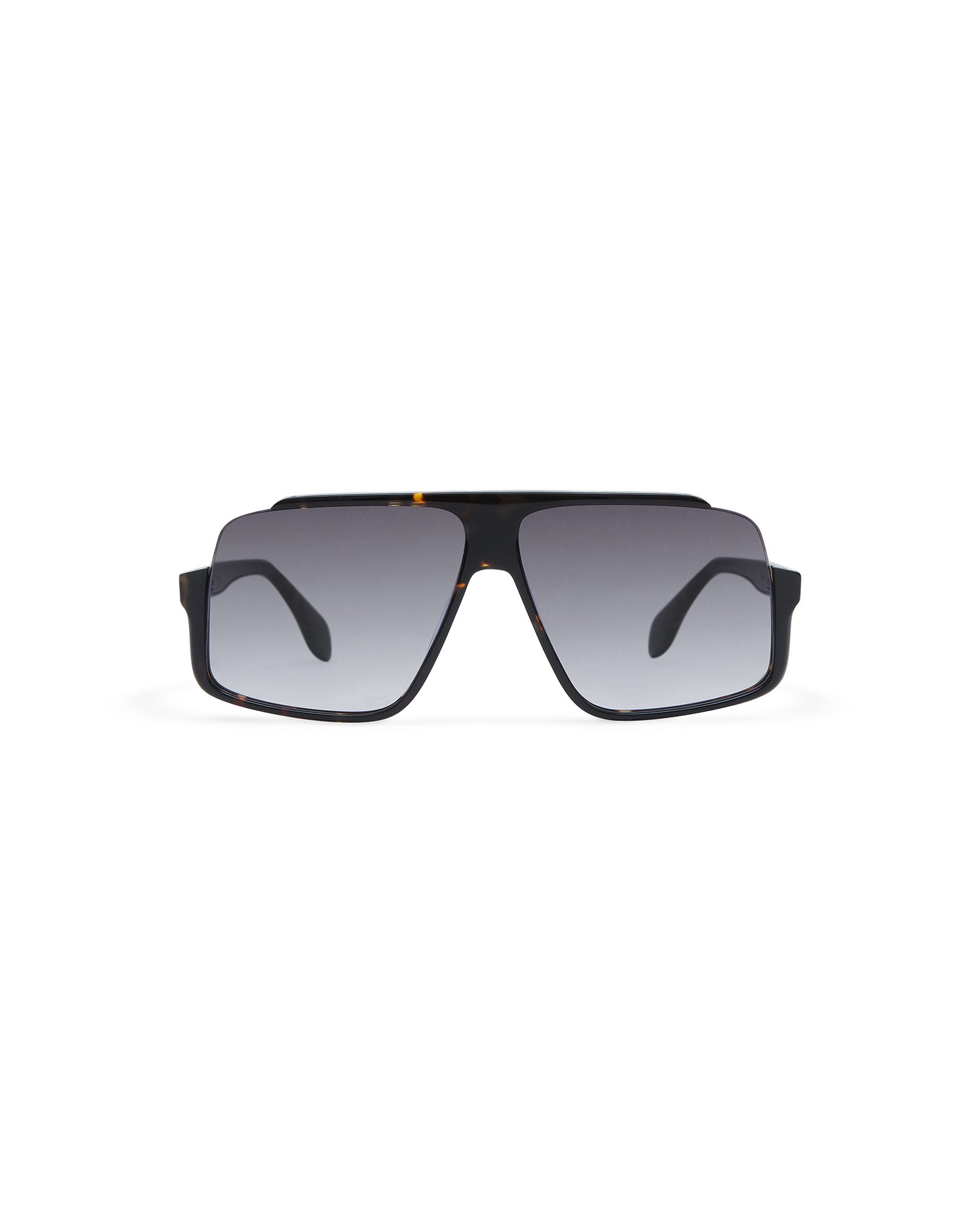 MIENNA: Aviador Acetato Havana sunglasses by GIGI STUDIOS 10621