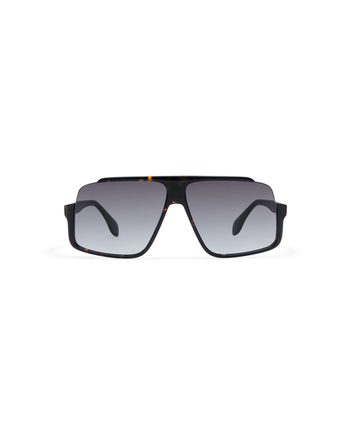 MIENNA: Aviador Acetato Havana sunglasses by GIGI STUDIOS 10621