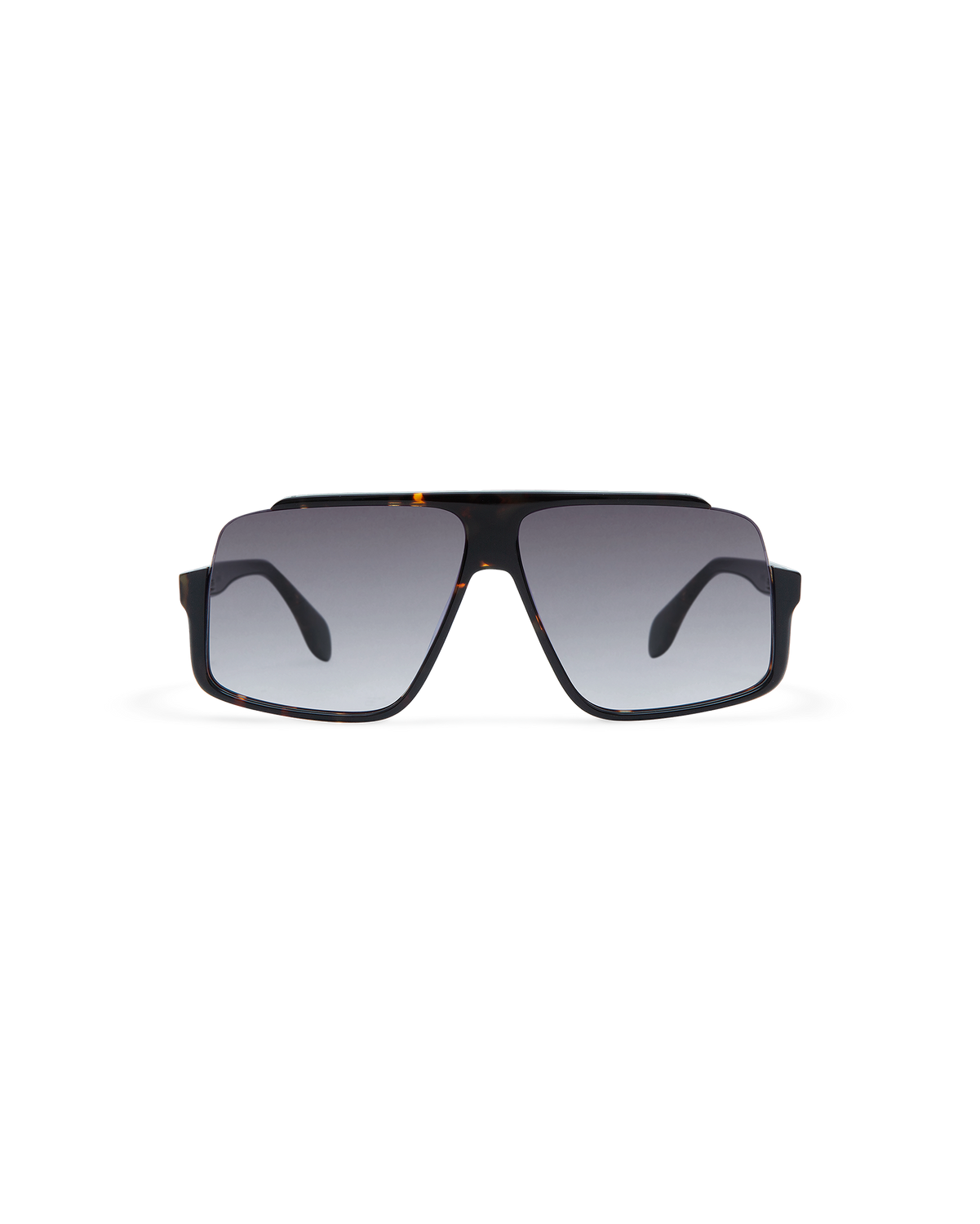 MIENNA: Aviador Acetato Havana sunglasses by GIGI STUDIOS 10621