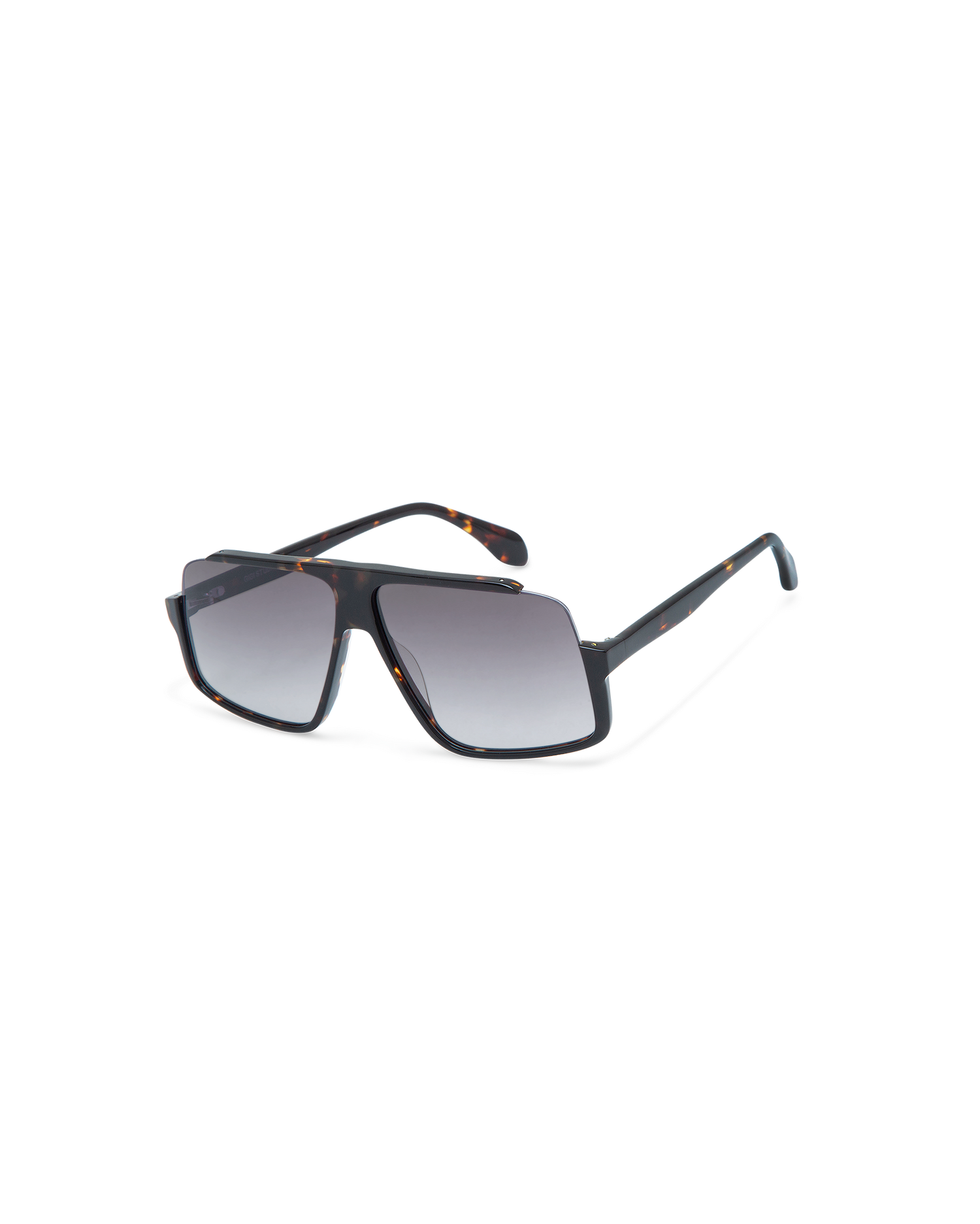 MIENNA: Aviador Acetato Havana sunglasses by GIGI STUDIOS 10622