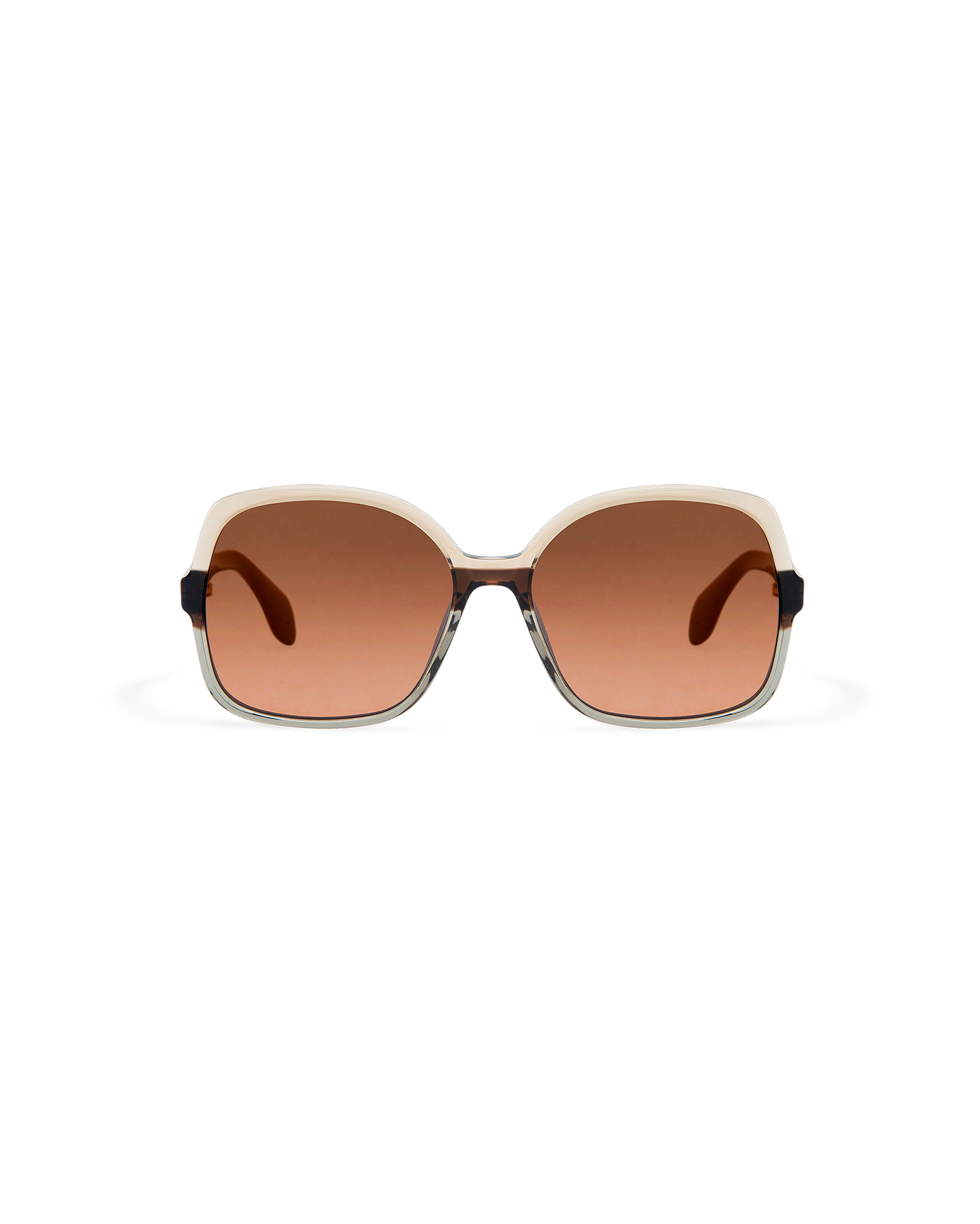 MAEN: Cuadrada Acetato Marrón sunglasses by GIGI STUDIOS 10643
