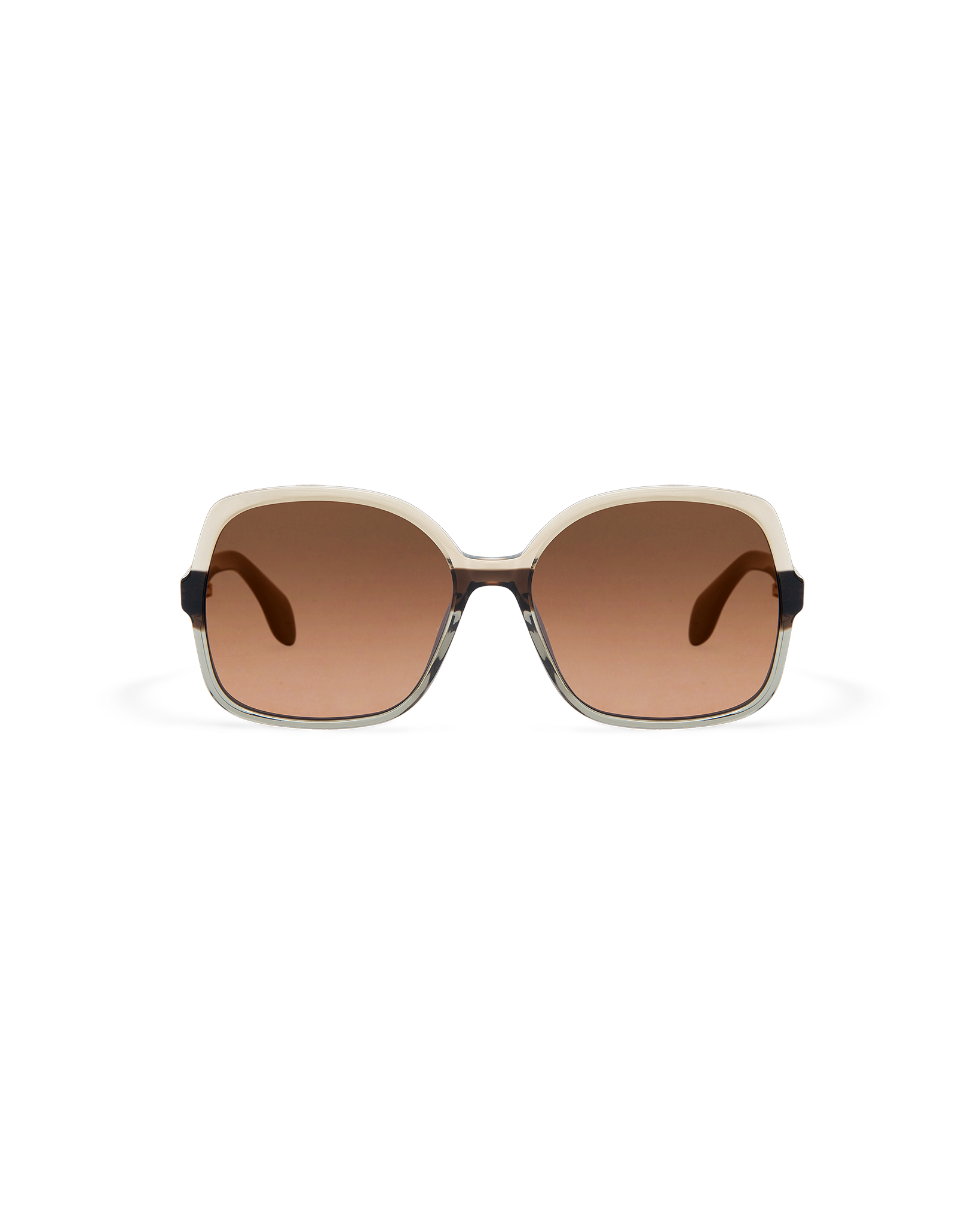 MAEN: Cuadrada Acetato Marrón sunglasses by GIGI STUDIOS 10643
