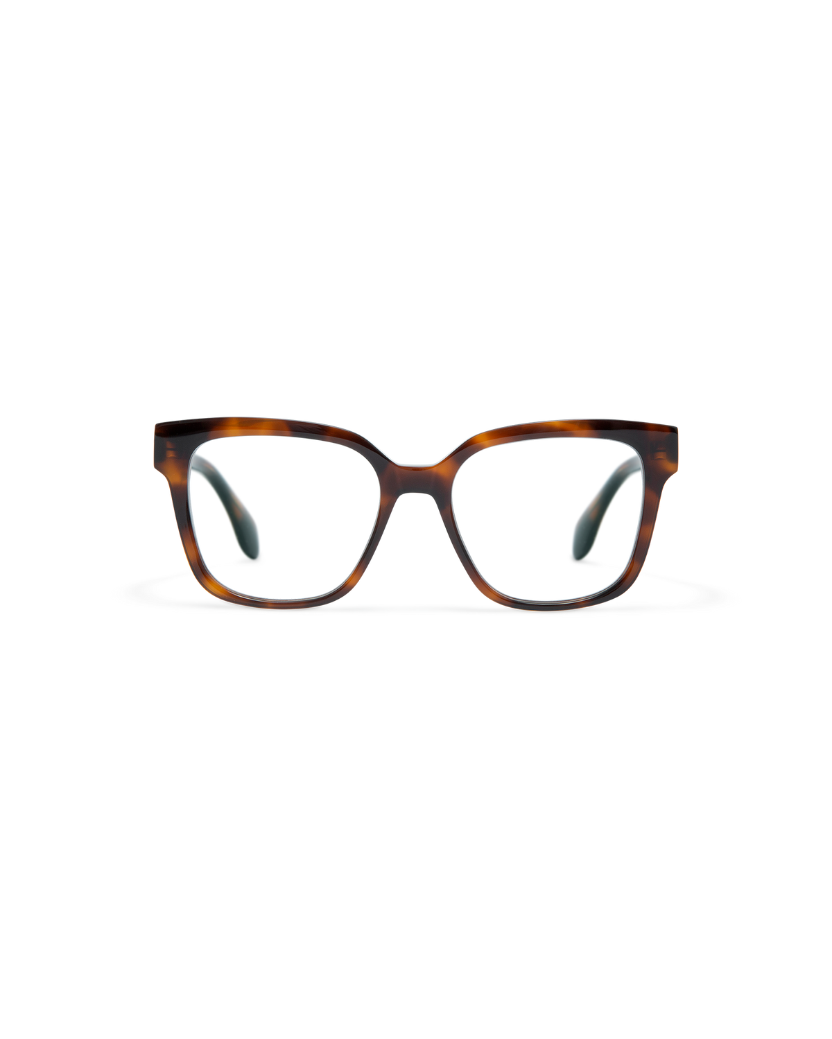 INARA: Cat Eye Acetato Havana optical glasses by GIGI STUDIOS 11638
