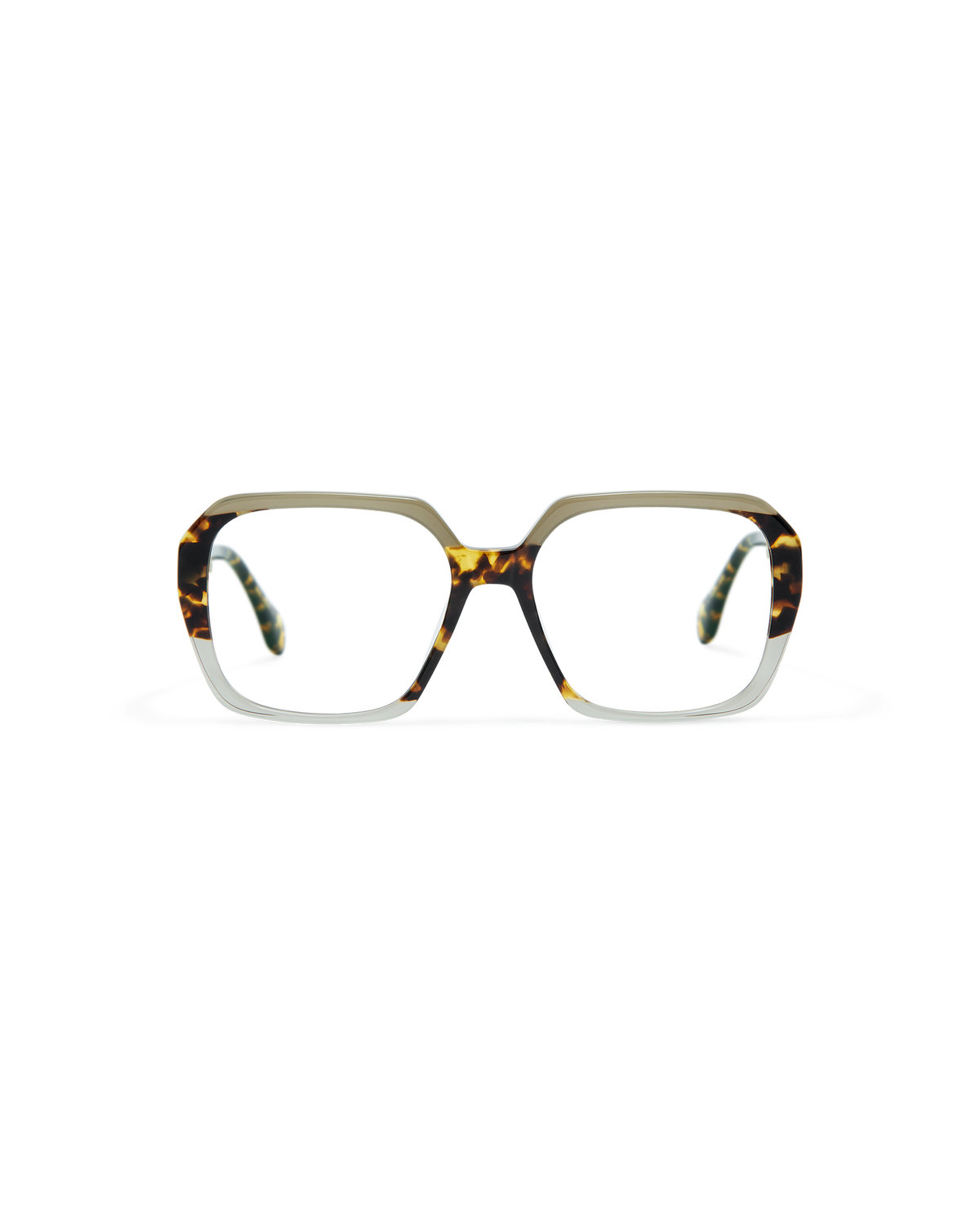 VAELLE: Cuadrada Acetato Havana optical glasses by GIGI STUDIOS 11642