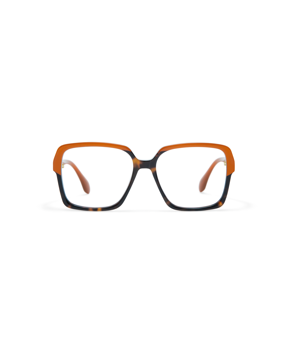 ELONA: Cuadrada Acetato Havana optical glasses by GIGI STUDIOS 11646