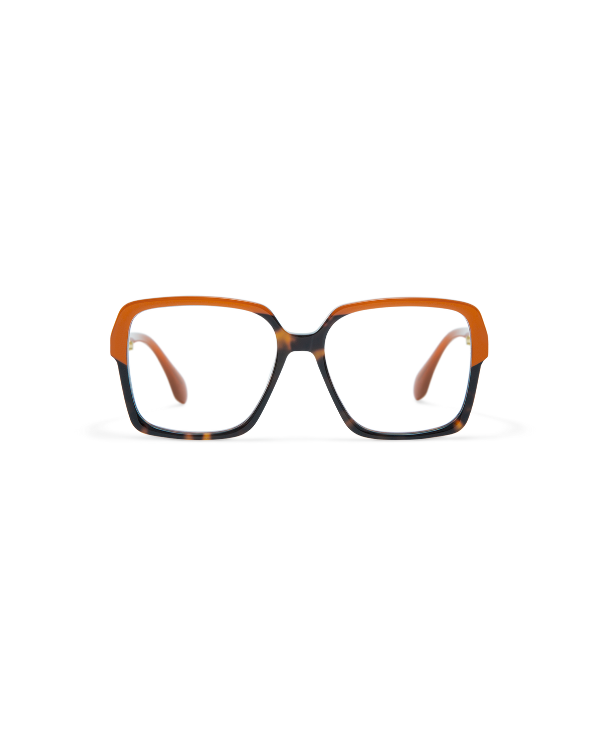 ELONA: Cuadrada Acetato Havana optical glasses by GIGI STUDIOS 11646