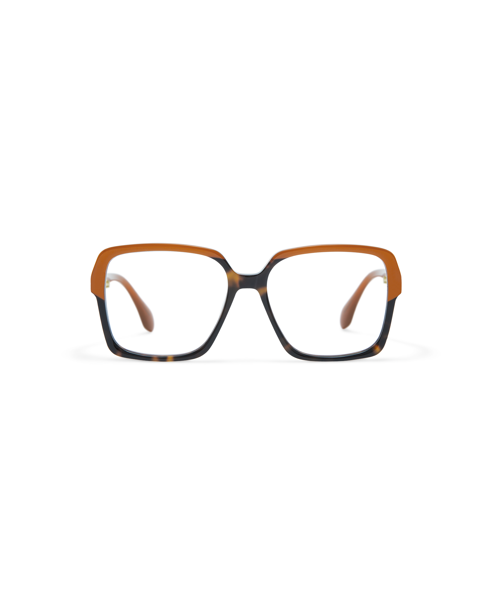 ELONA: Cuadrada Acetato Havana optical glasses by GIGI STUDIOS 11646