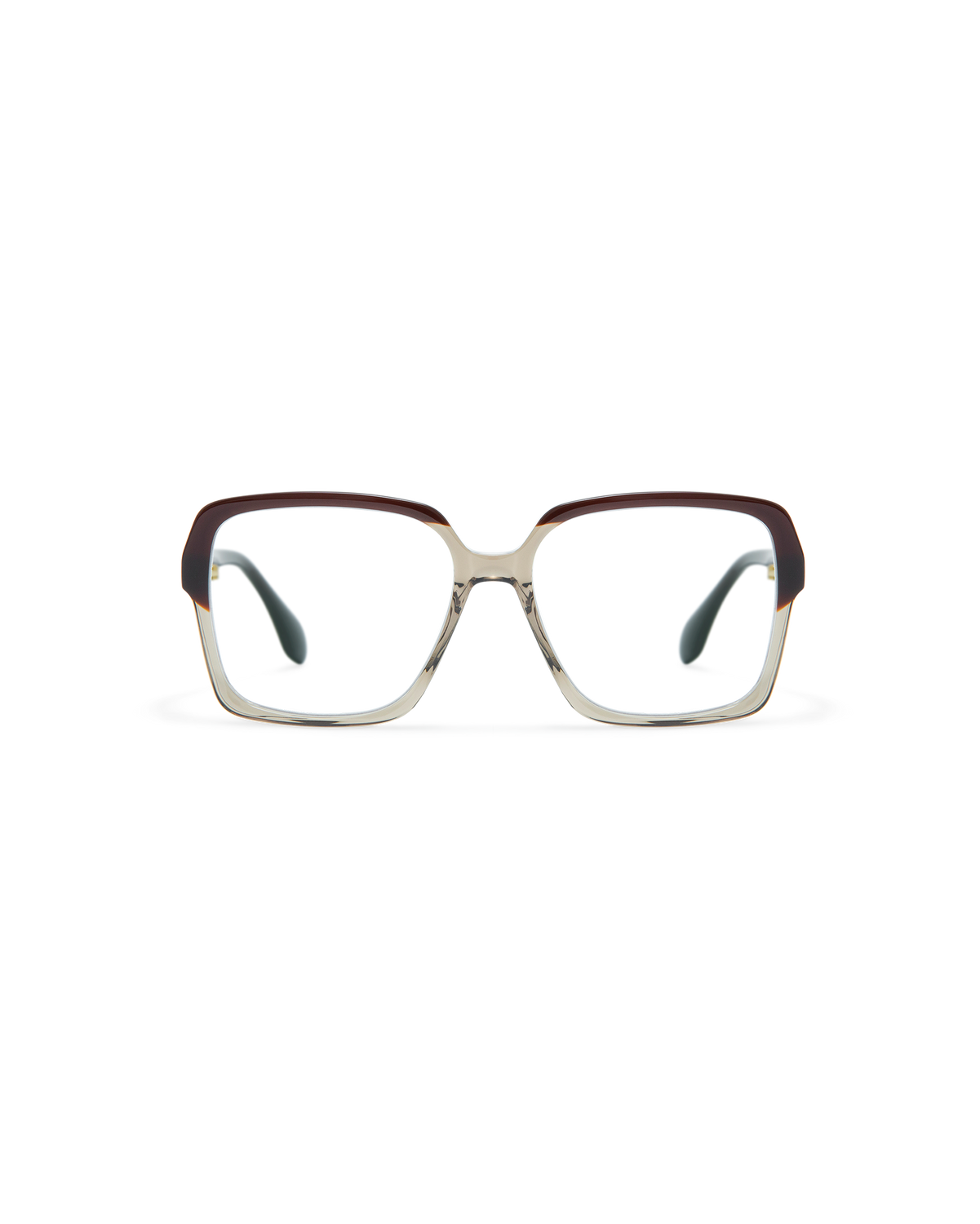 ELONA: Cuadrada Acetato Marrón optical glasses by GIGI STUDIOS 11647