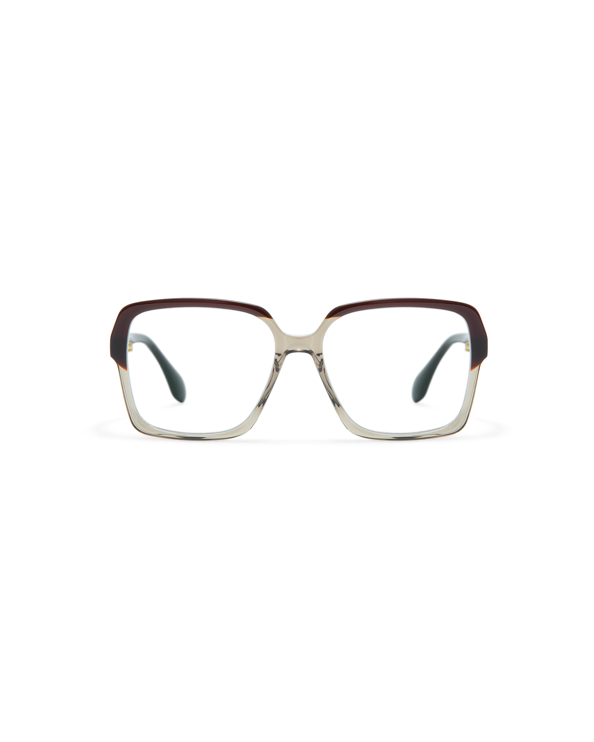 ELONA: Cuadrada Acetato Marrón optical glasses by GIGI STUDIOS 11647