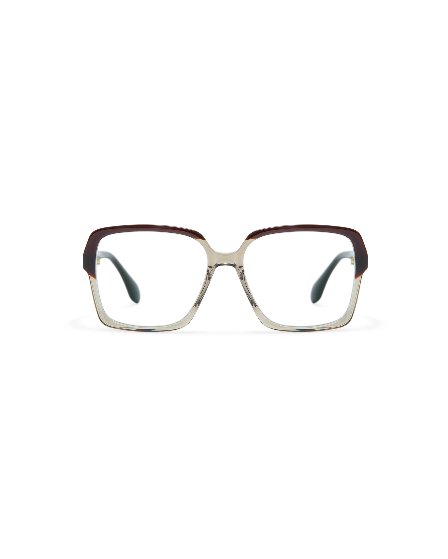 ELONA: Cuadrada Acetato Marrón optical glasses by GIGI STUDIOS 11647
