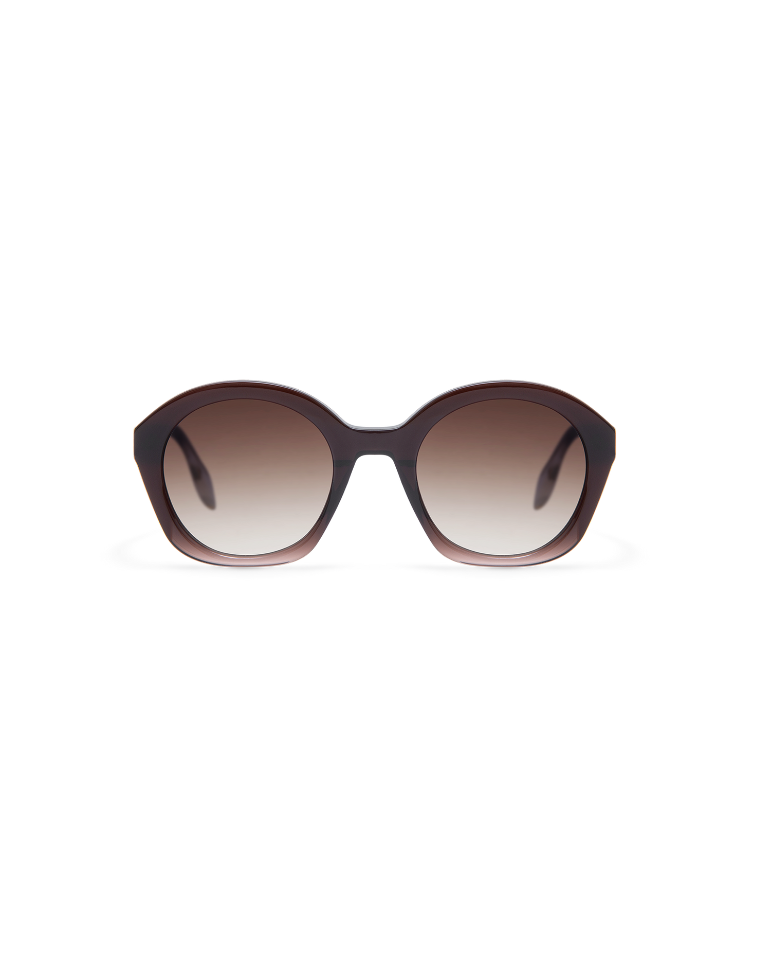 ARLEA: Redondas Acetato Marrón sunglasses by GIGI STUDIOS 13610