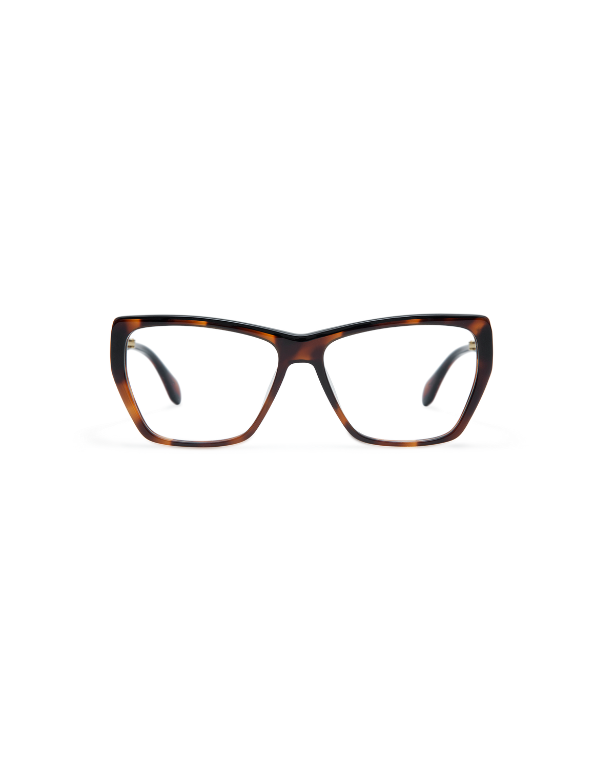 DIENA: Cat Eye Acetato Havana optical glasses by GIGI STUDIOS 14455