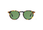 ROY: Redondas Acetato Havana sunglasses by GIGI STUDIOS 8415