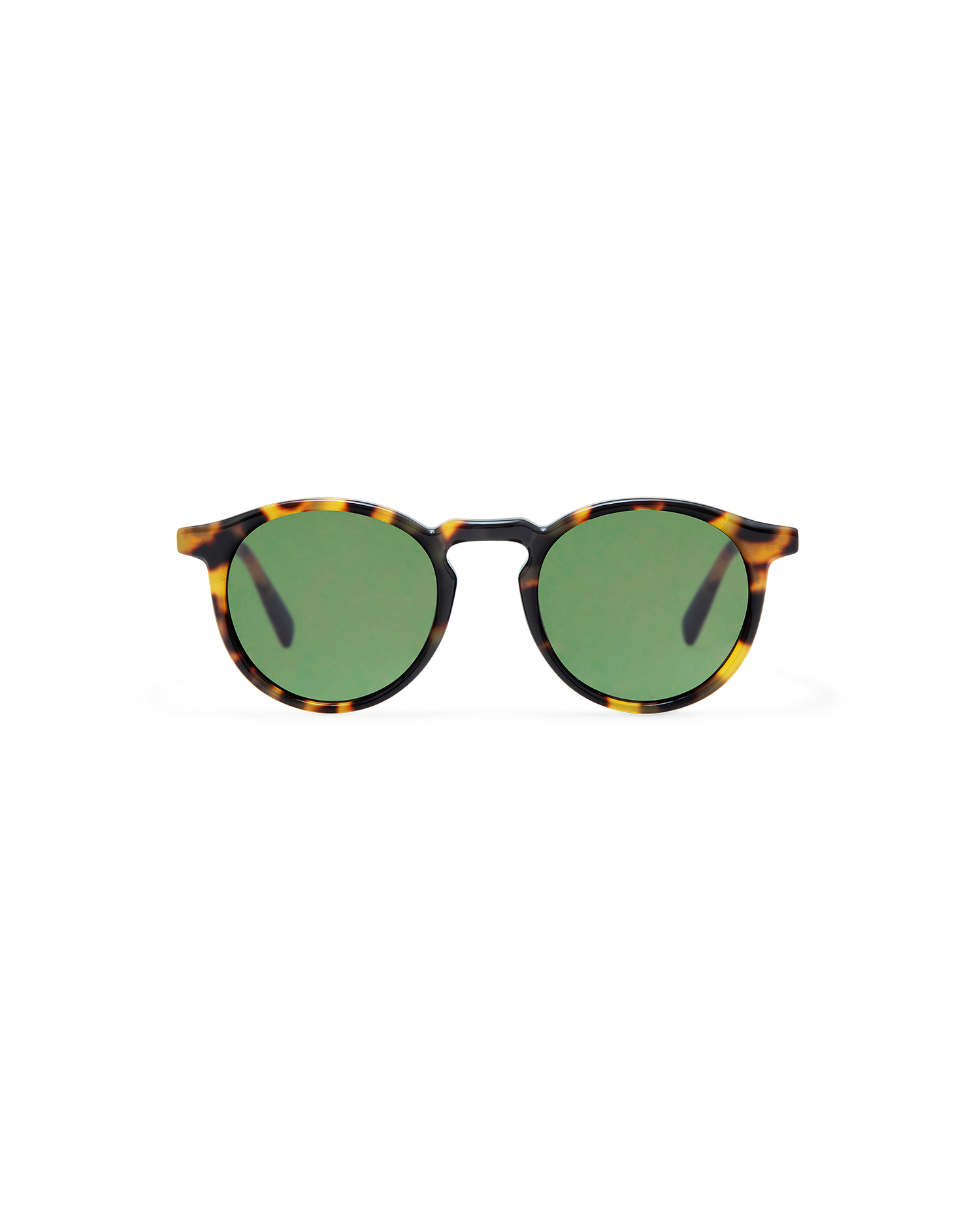 ROY: Redondas Acetato Havana sunglasses by GIGI STUDIOS 8415