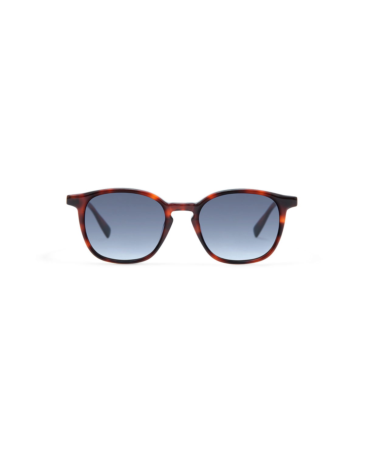 LEWIS: Redondas Acetato Havana sunglasses by GIGI STUDIOS 8419