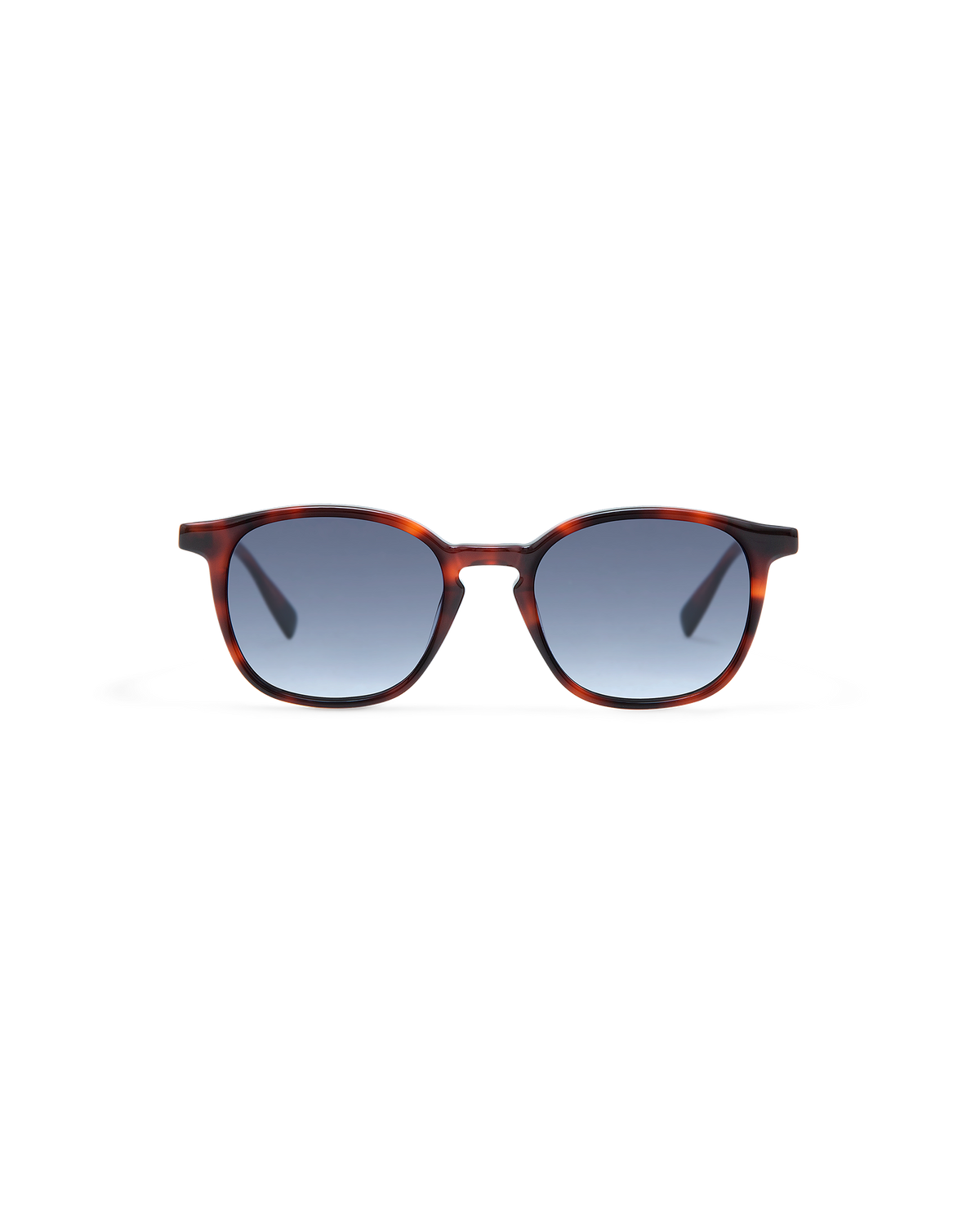 LEWIS: Redondas Acetato Havana sunglasses by GIGI STUDIOS 8419