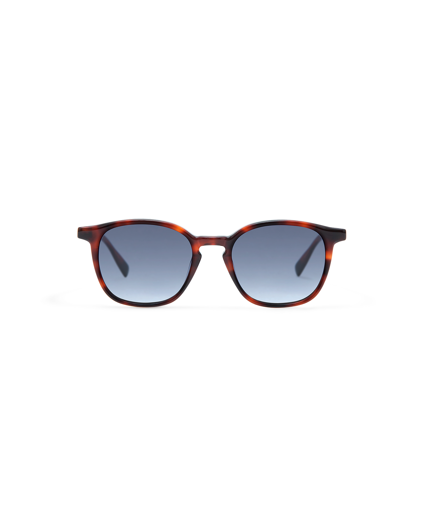 LEWIS: Redondas Acetato Havana sunglasses by GIGI STUDIOS 8419