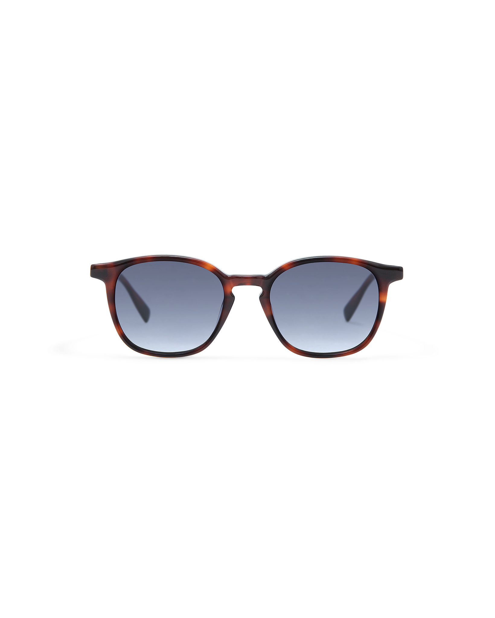 LEWIS: Redondas Acetato Havana sunglasses by GIGI STUDIOS 8419