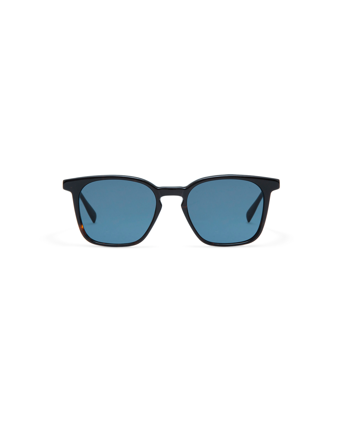 ELIO: Cuadrada Acetato Havana sunglasses by GIGI STUDIOS 10723