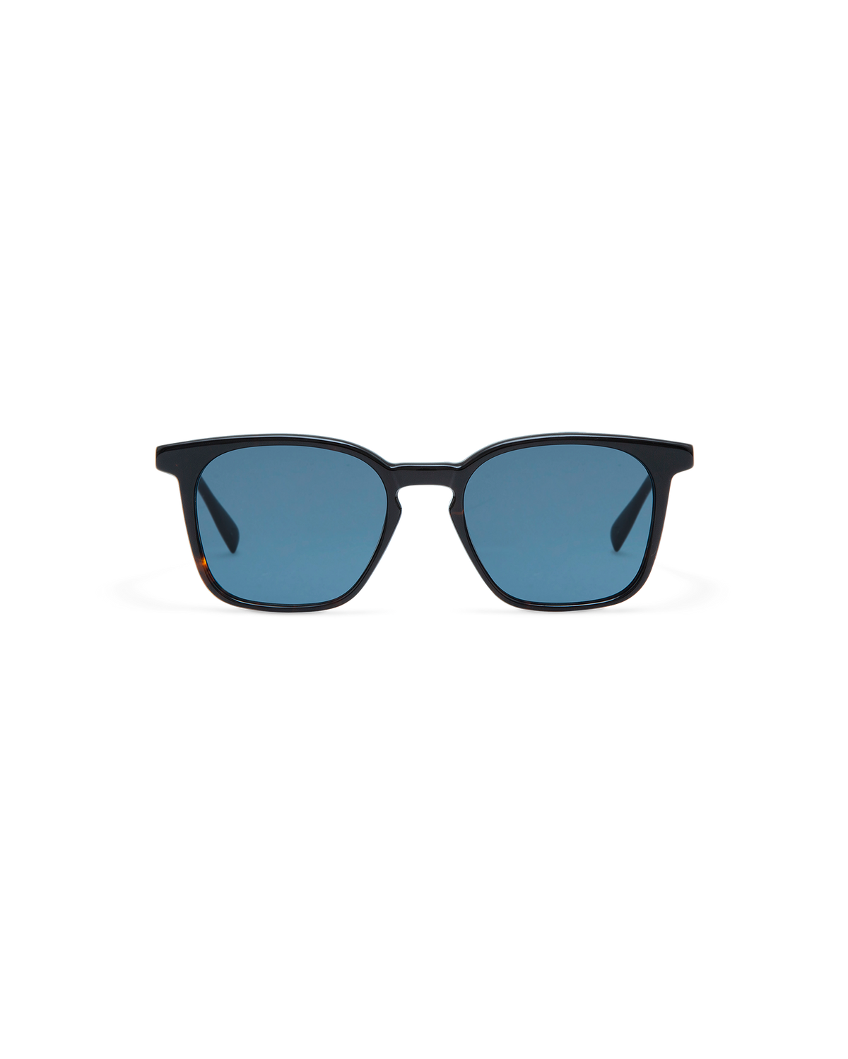 ELIO: Cuadrada Acetato Havana sunglasses by GIGI STUDIOS 10723
