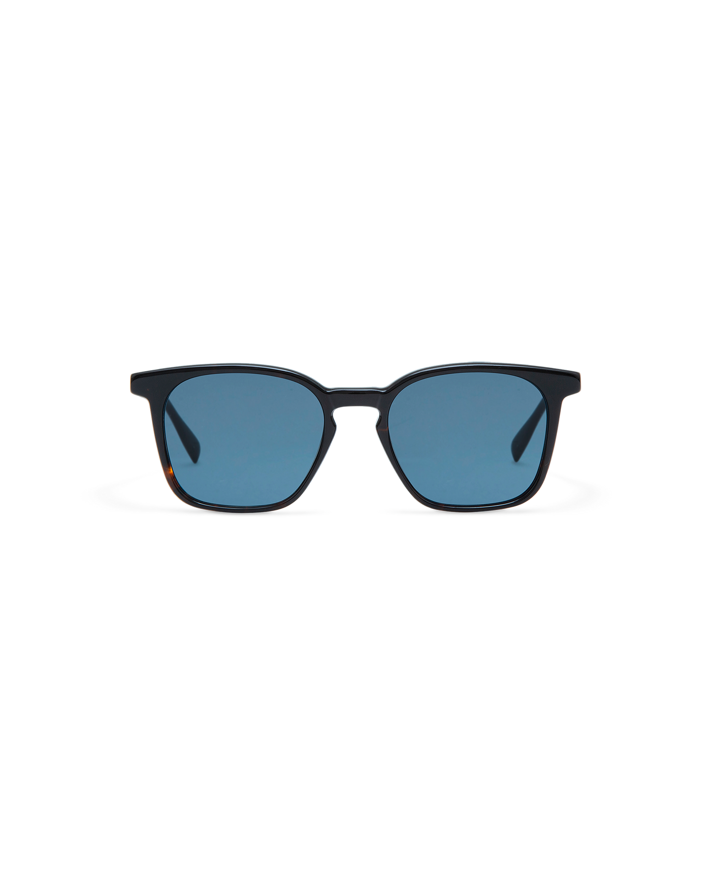 ELIO: Cuadrada Acetato Havana sunglasses by GIGI STUDIOS 10723