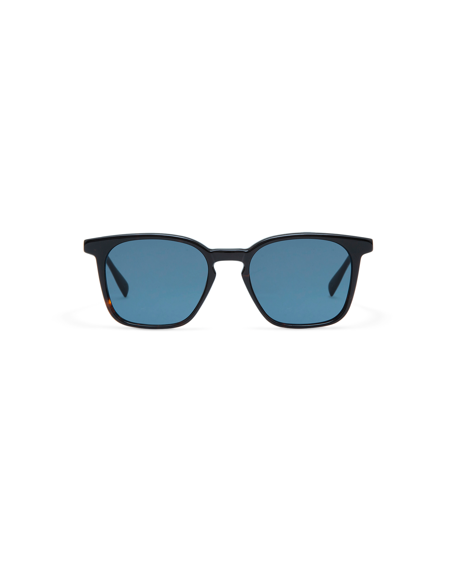 ELIO: Cuadrada Acetato Havana sunglasses by GIGI STUDIOS 10723