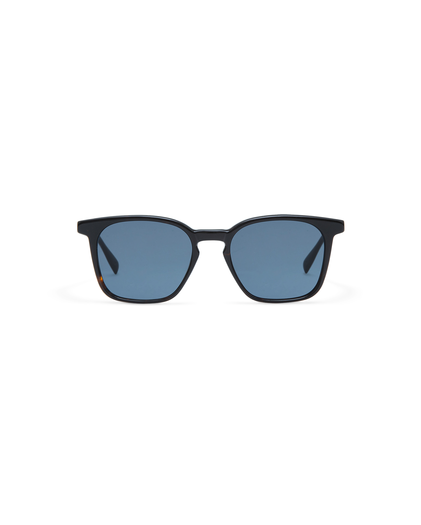 ELIO: Cuadrada Acetato Havana sunglasses by GIGI STUDIOS 10723