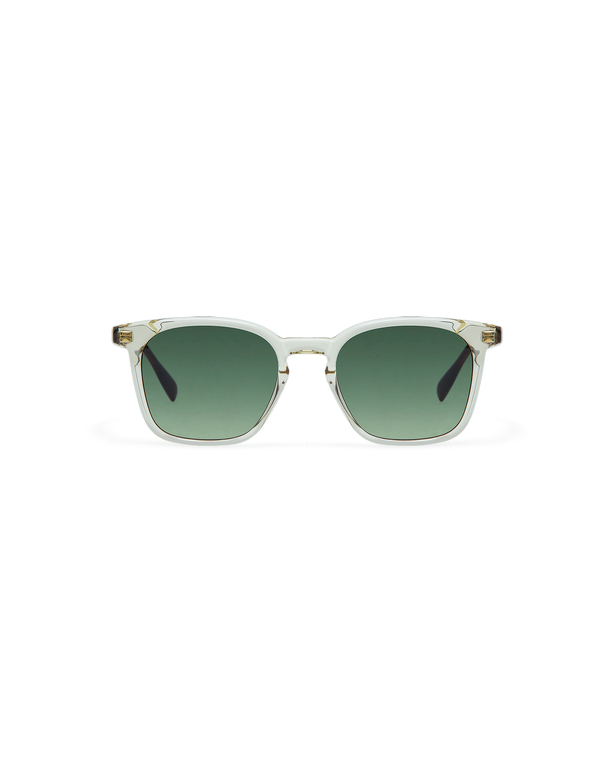ELIO: Cuadrada Acetato Marrón sunglasses by GIGI STUDIOS 10725