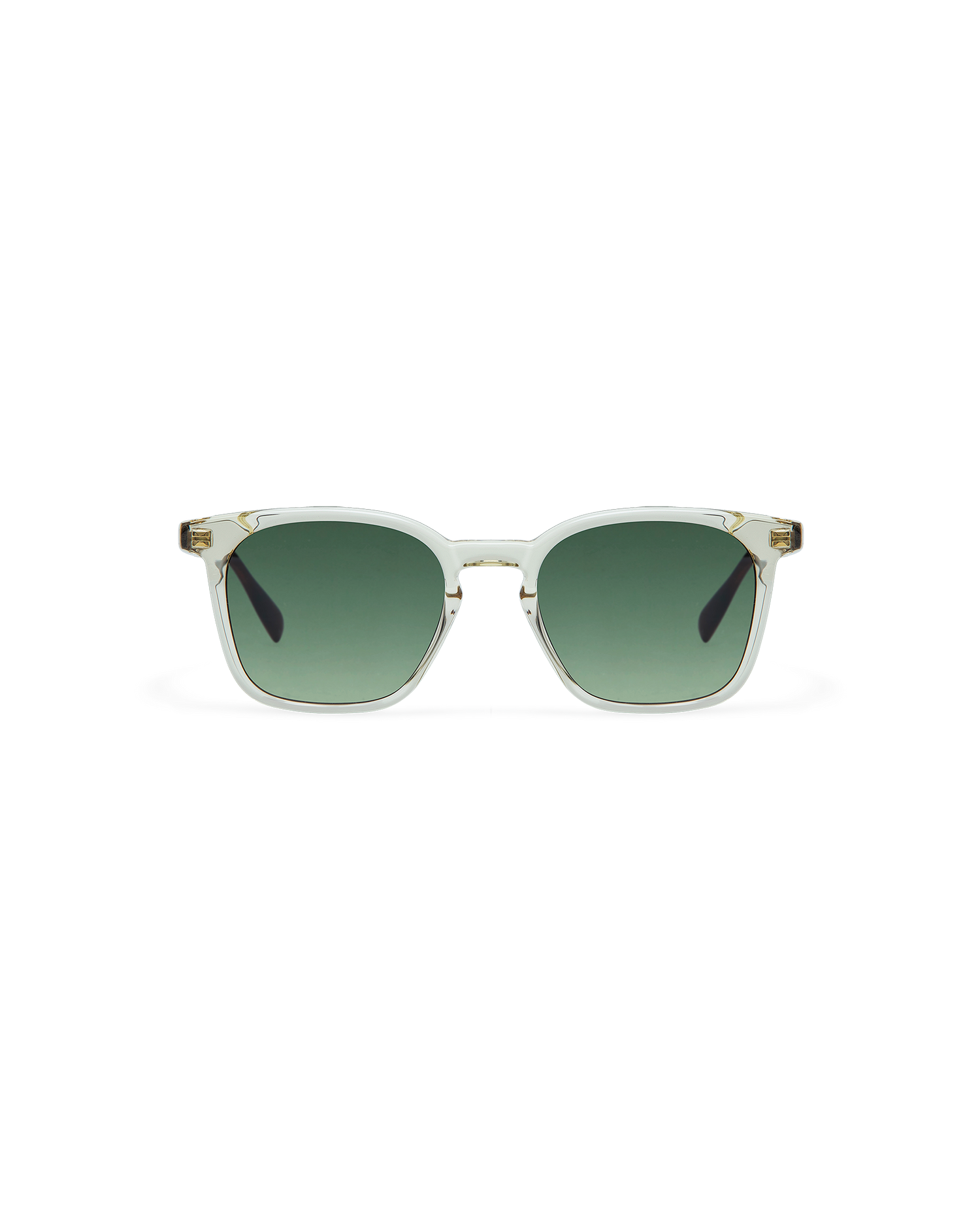ELIO: Cuadrada Acetato Marrón sunglasses by GIGI STUDIOS 10725