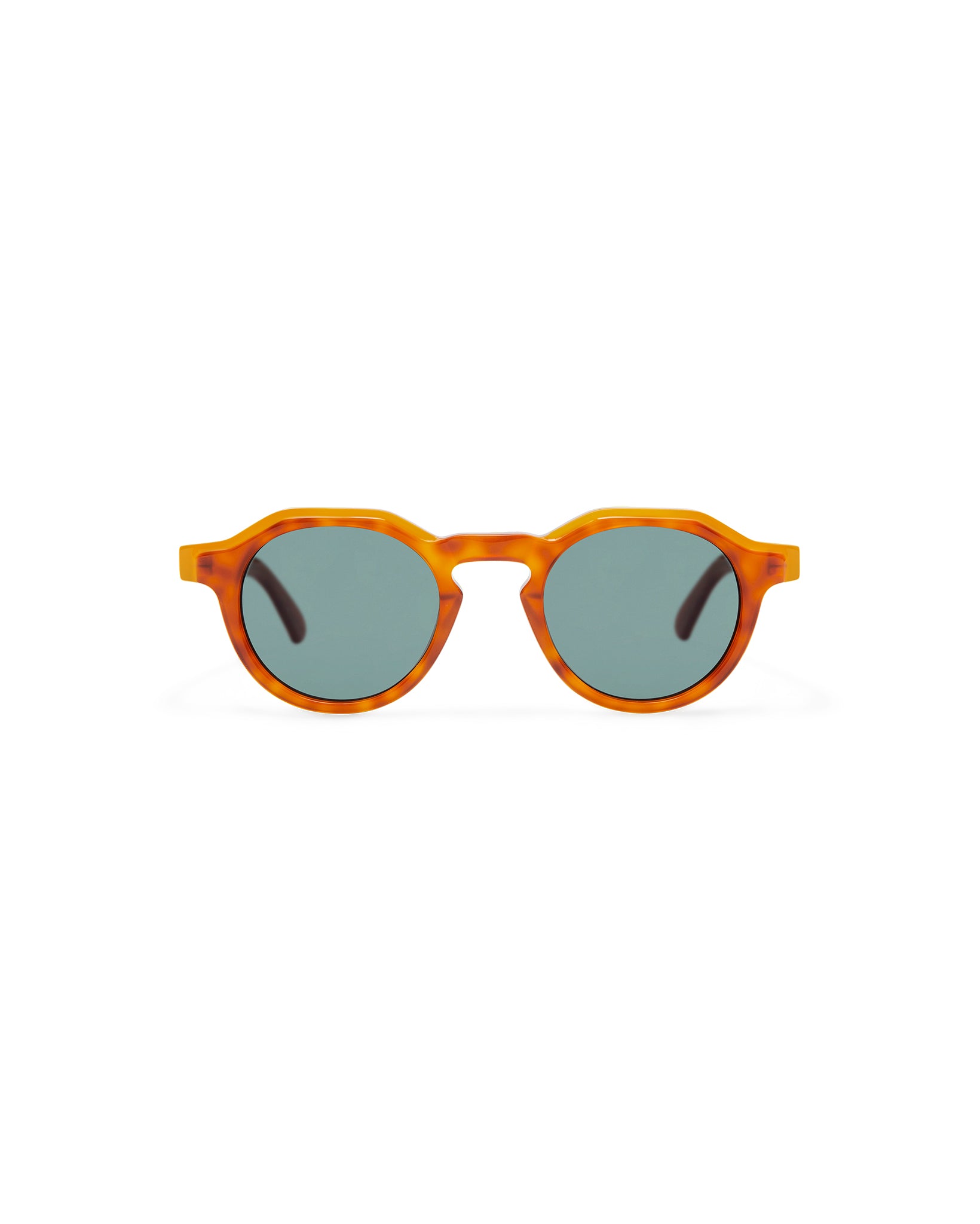 JAMES: Redondas Acetato Havana sunglasses by GIGI STUDIOS 7936