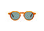 JAMES: Redondas Acetato Havana sunglasses by GIGI STUDIOS 7936
