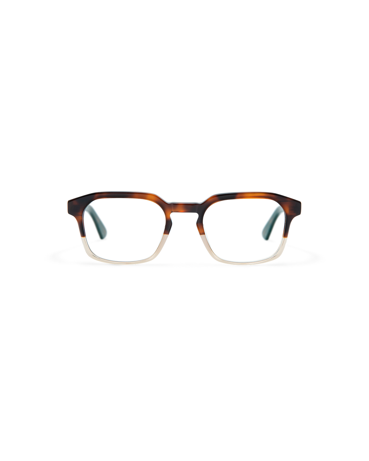 ENZO: Geométricas Acetato Havana optical glasses by GIGI STUDIOS 8436