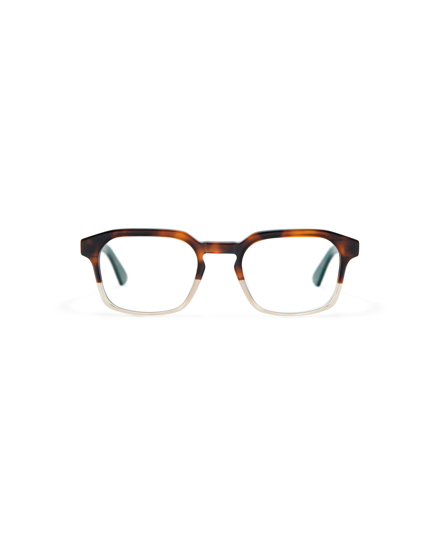 ENZO: Geométricas Acetato Havana optical glasses by GIGI STUDIOS 8436