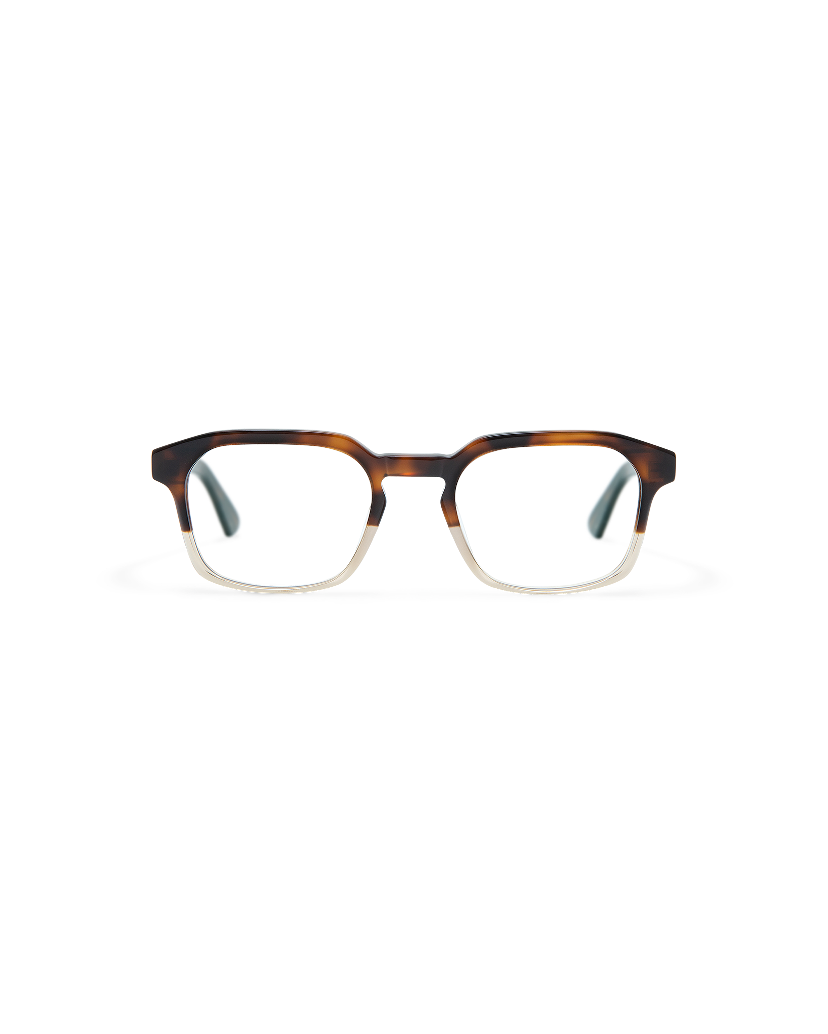 ENZO: Geométricas Acetato Havana optical glasses by GIGI STUDIOS 8436