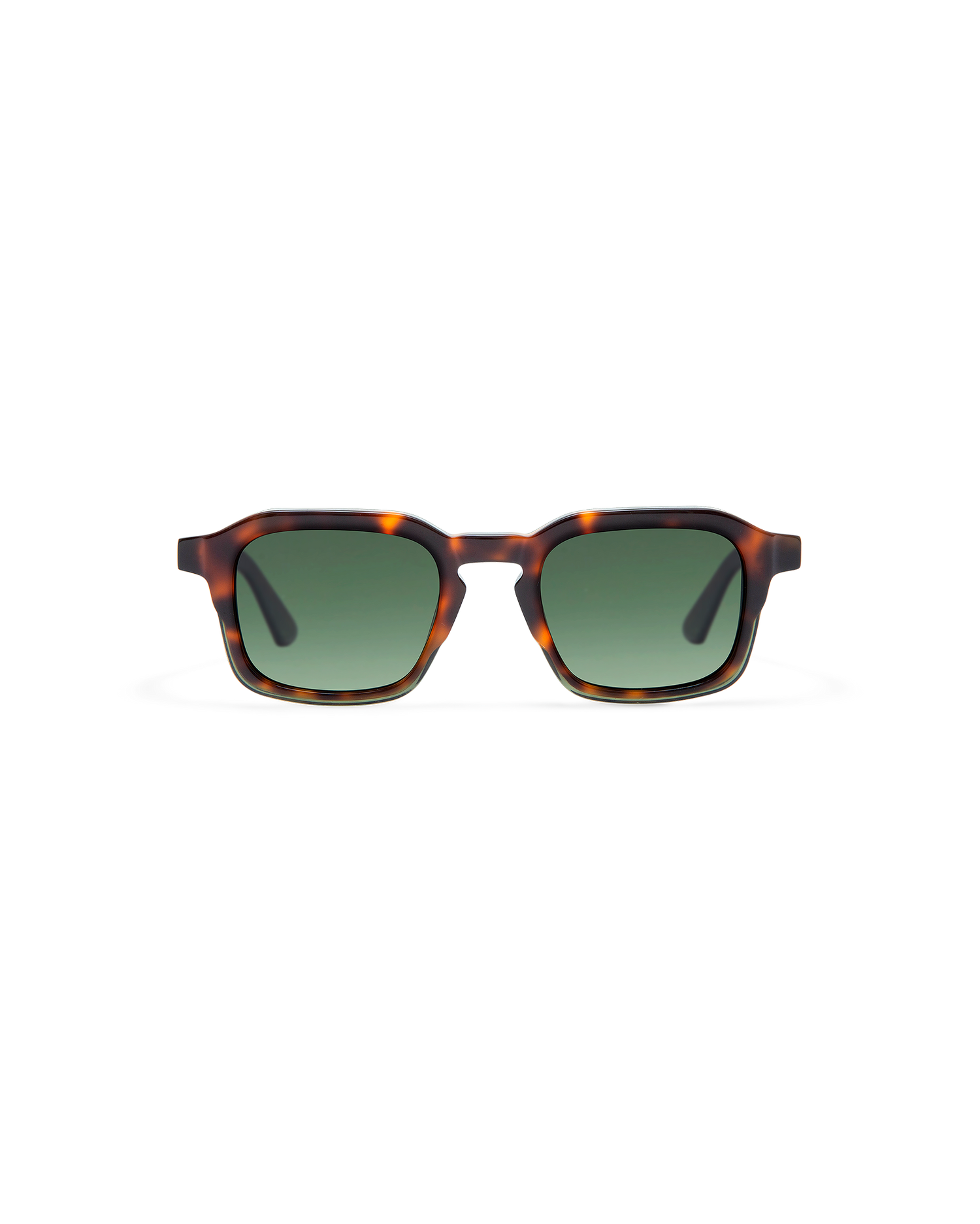 JONAS: Geométricas Acetato Havana sunglasses by GIGI STUDIOS 8439