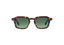 JONAS: Geométricas Acetato Havana sunglasses by GIGI STUDIOS 8439