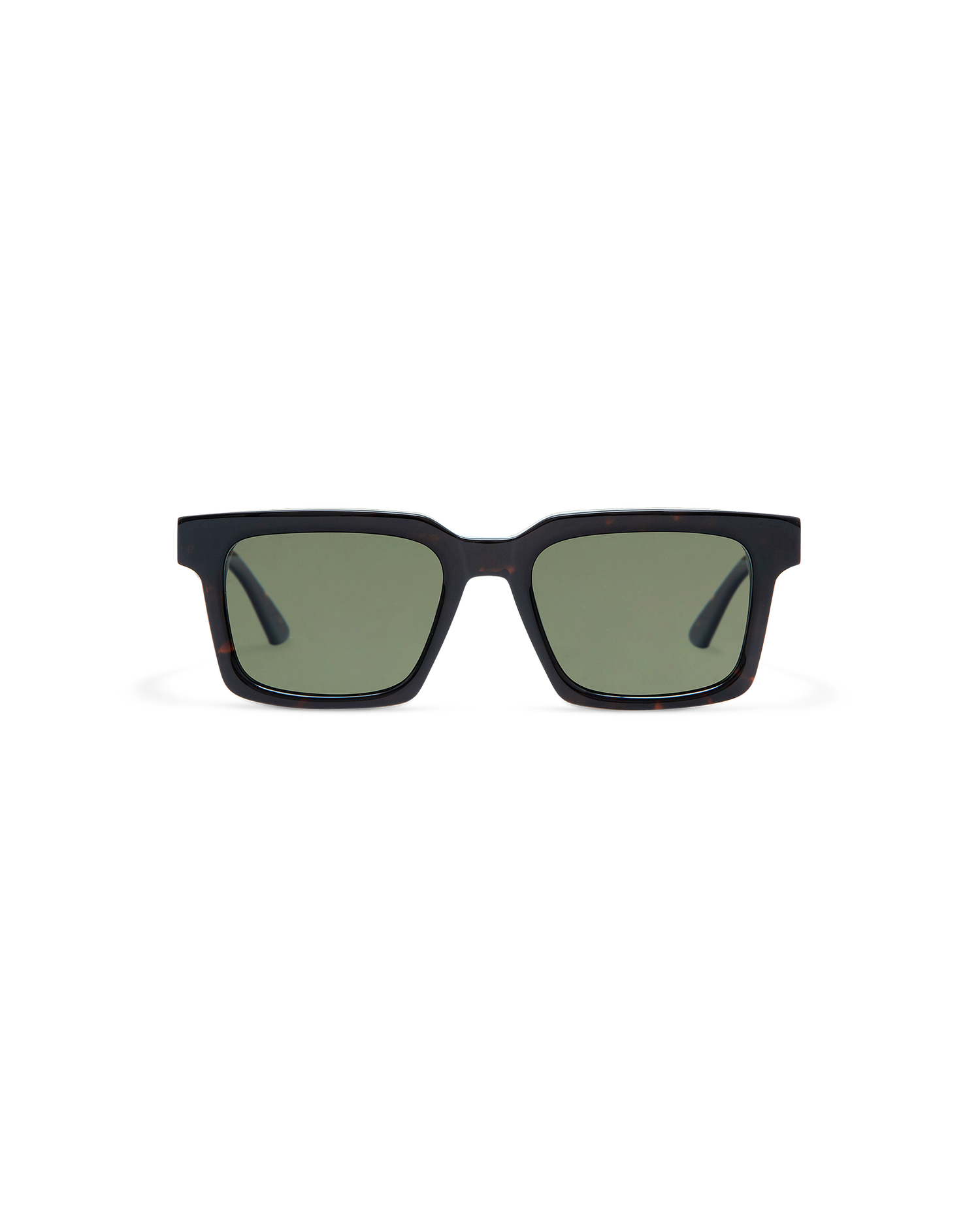 OSWIN: Cuadrada Acetato Havana sunglasses by GIGI STUDIOS 10753