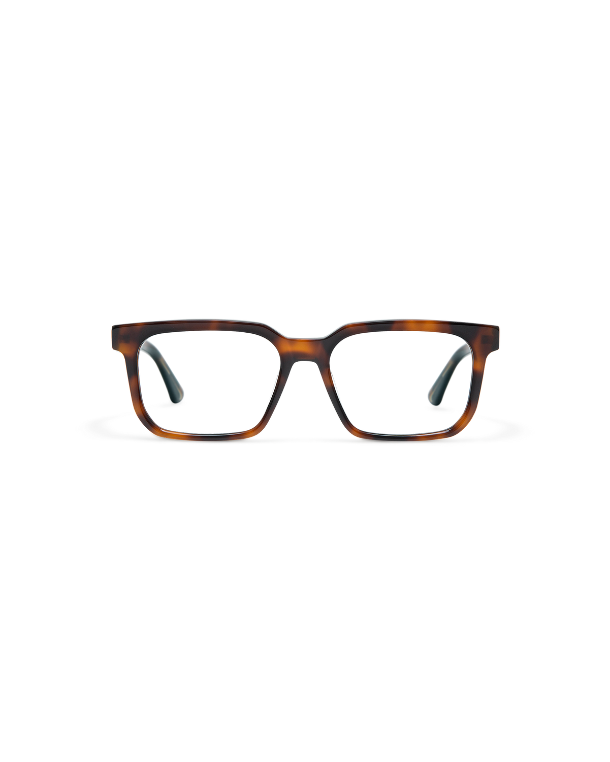 MERRIN: Rectangular Acetato Havana optical glasses by GIGI STUDIOS 10765