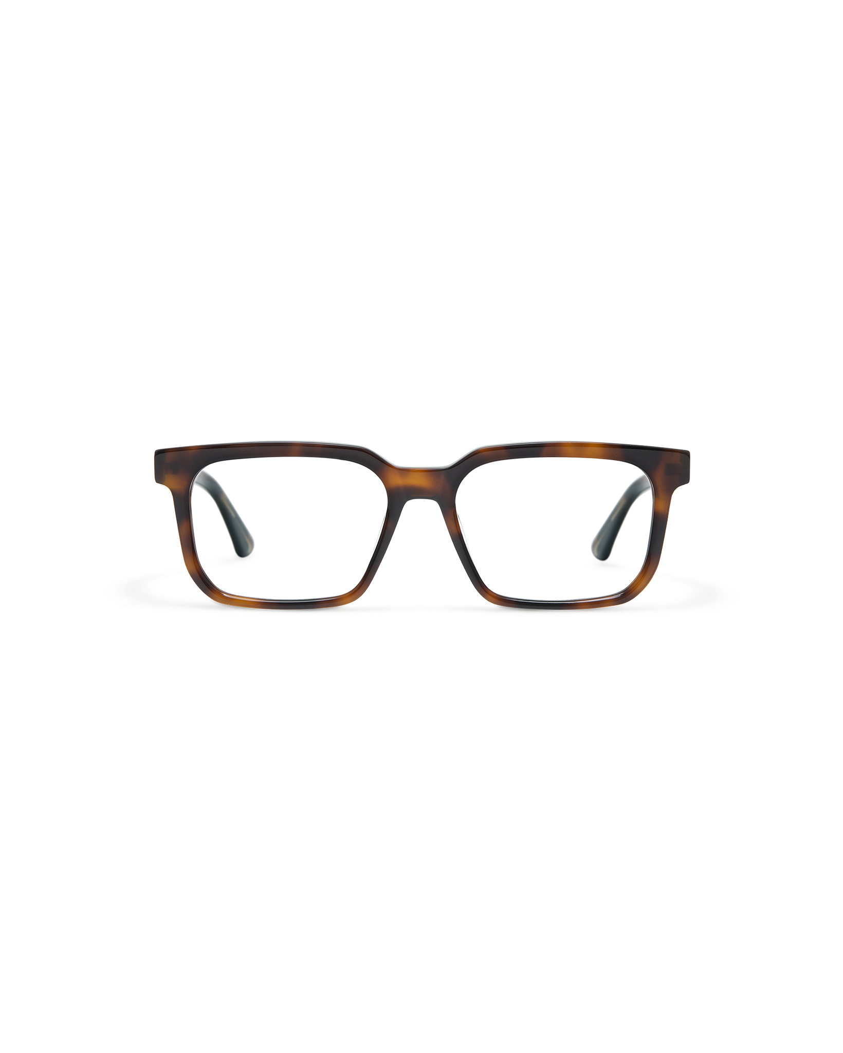 MERRIN: Rectangular Acetato Havana optical glasses by GIGI STUDIOS 10765