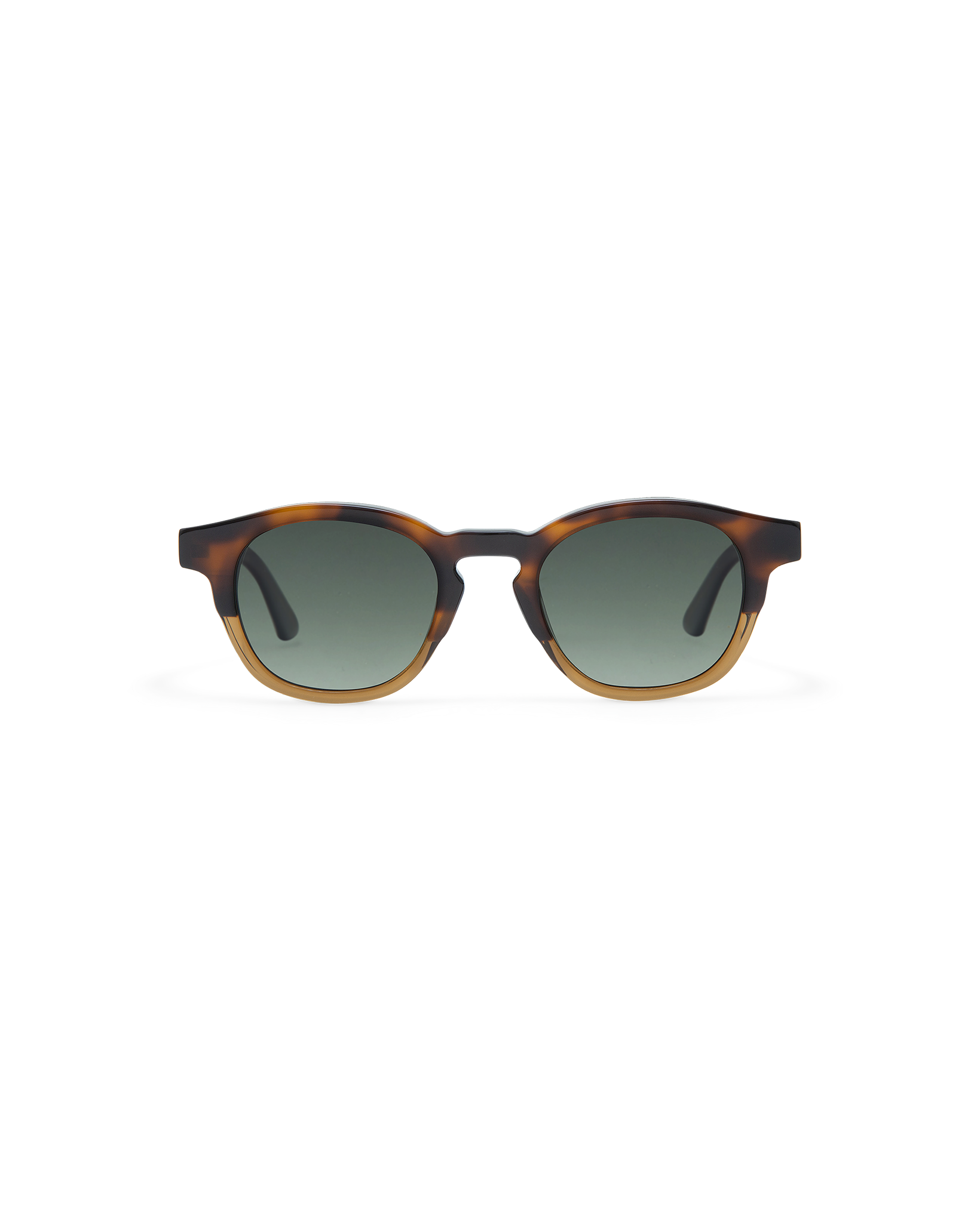 DORAN: Redondas Acetato Havana sunglasses by GIGI STUDIOS 10771
