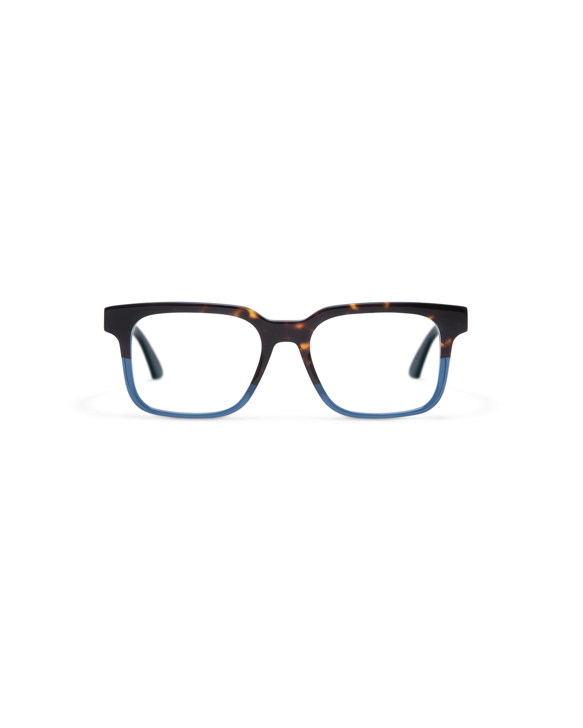 PIER: Rectangular Acetato Havana optical glasses by GIGI STUDIOS 13679