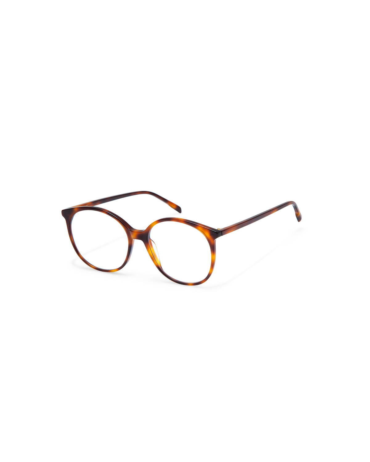 NIRA: Redondas Acetato Havana optical glasses by GIGI STUDIOS 8850