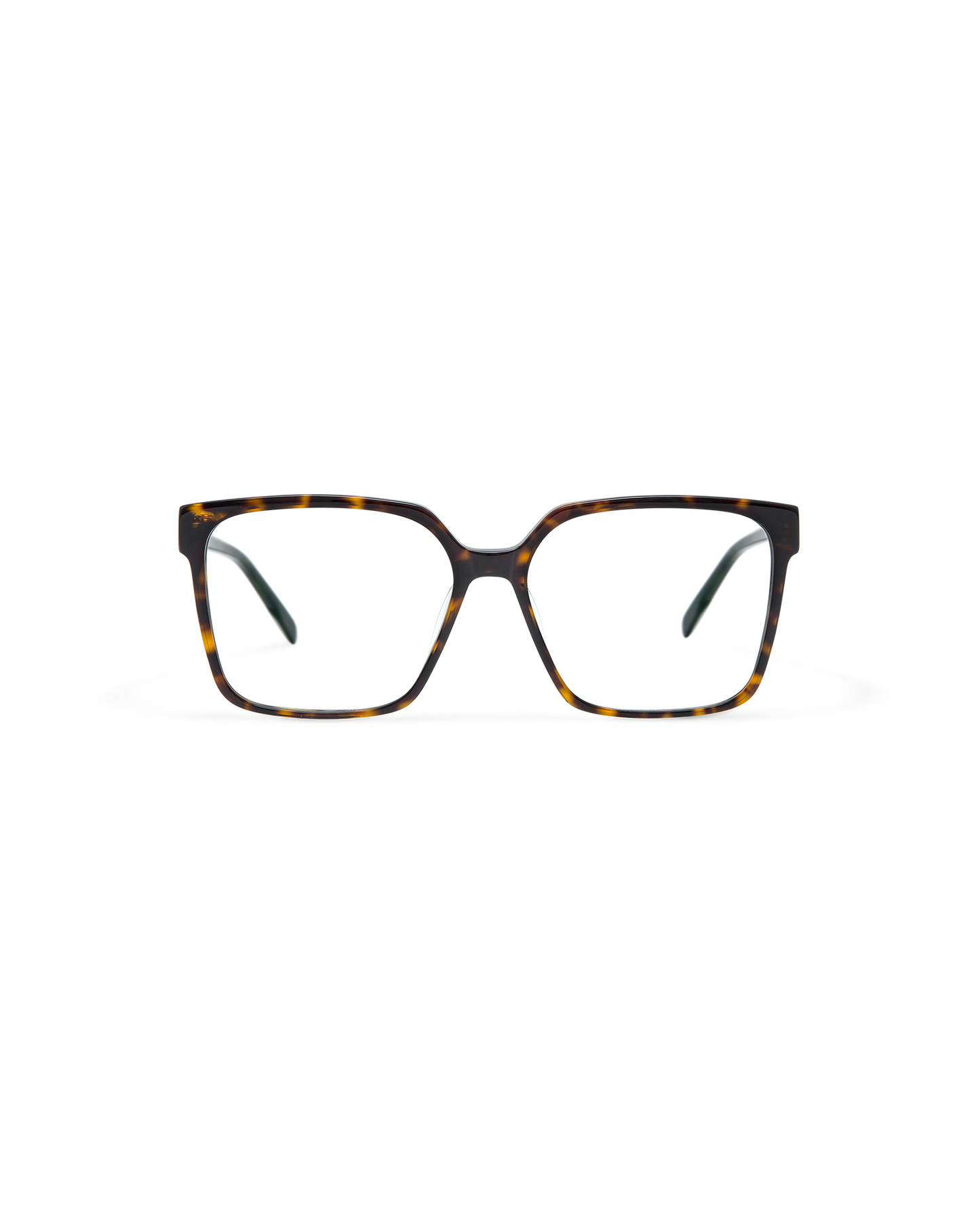 ARIX: Cat Eye Acetato Havana optical glasses by GIGI STUDIOS 10797