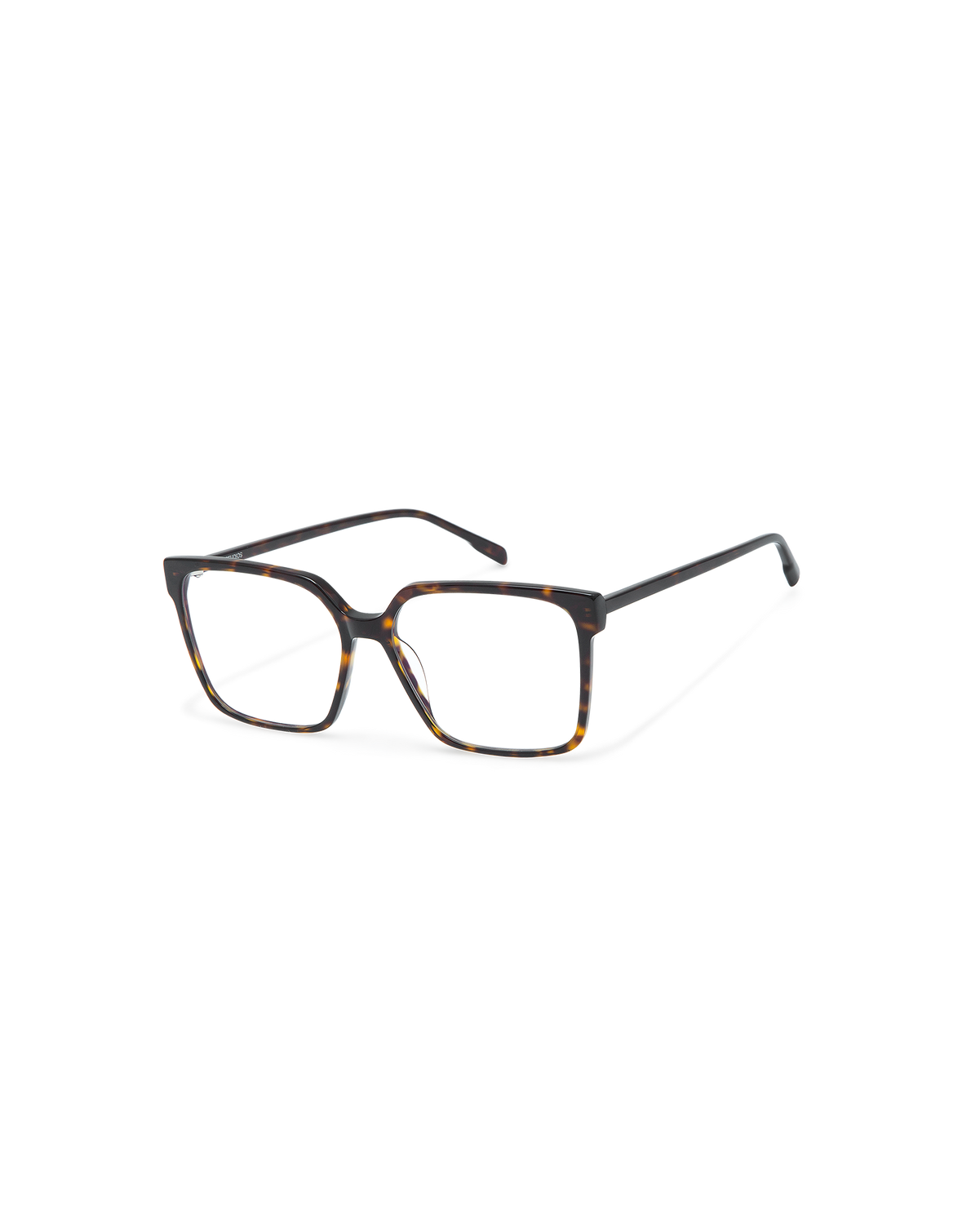ARIX: Cat Eye Acetato Havana optical glasses by GIGI STUDIOS 10798