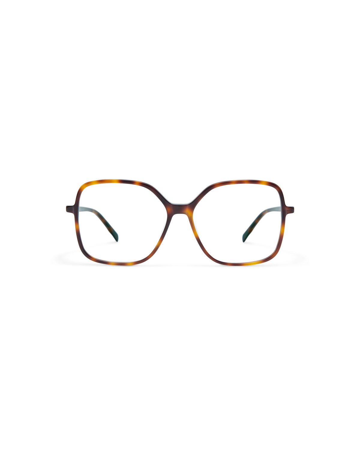 TARO: Cat Eye Acetato Havana optical glasses by GIGI STUDIOS 10813