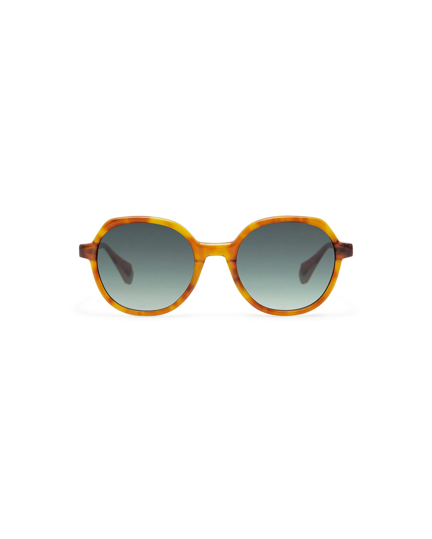 VAUGHN: Redondas Acetato Havana sunglasses by GIGI STUDIOS 4300
