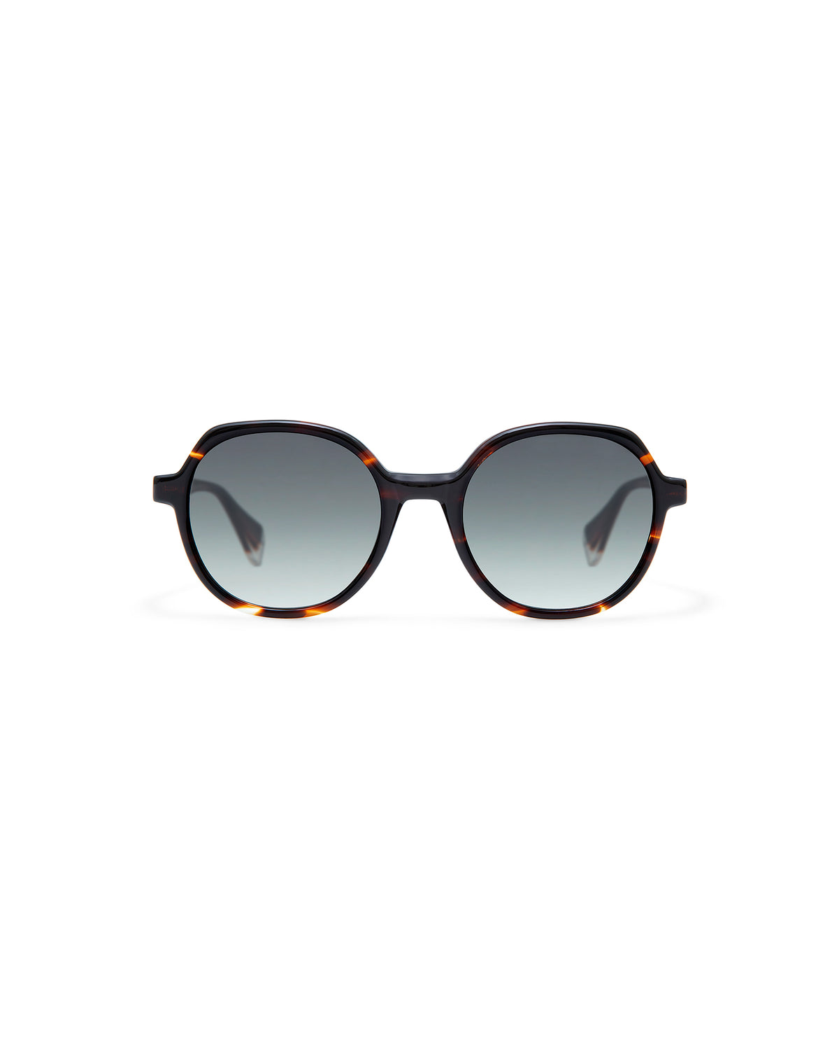 VAUGHN: Redondas Acetato Havana sunglasses by GIGI STUDIOS 7777