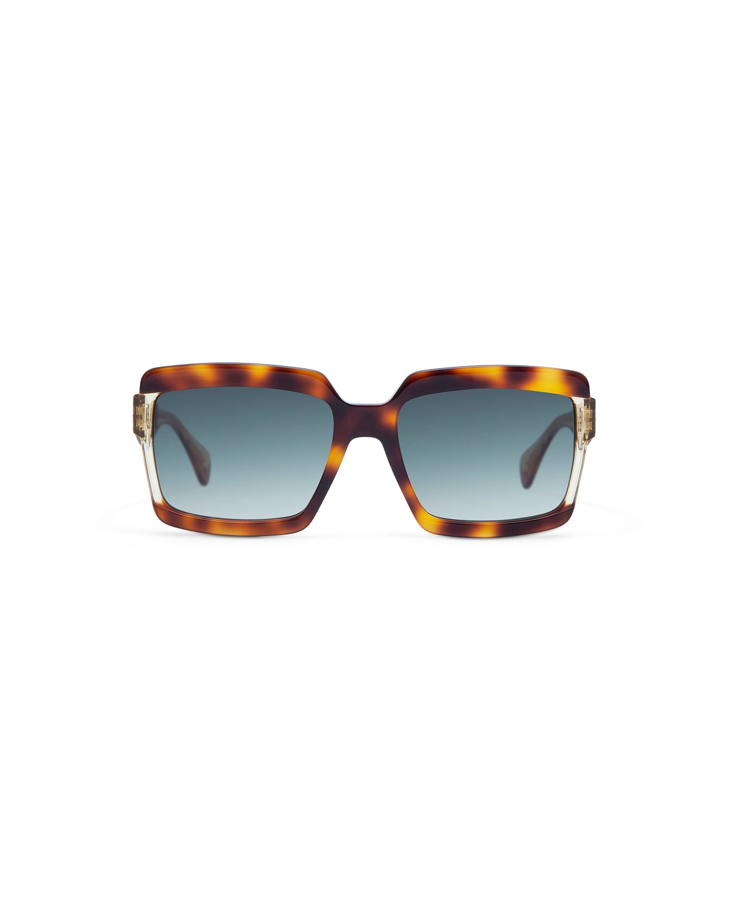 OLAYA: Cuadrada Acetato Havana sunglasses by GIGI STUDIOS 4291