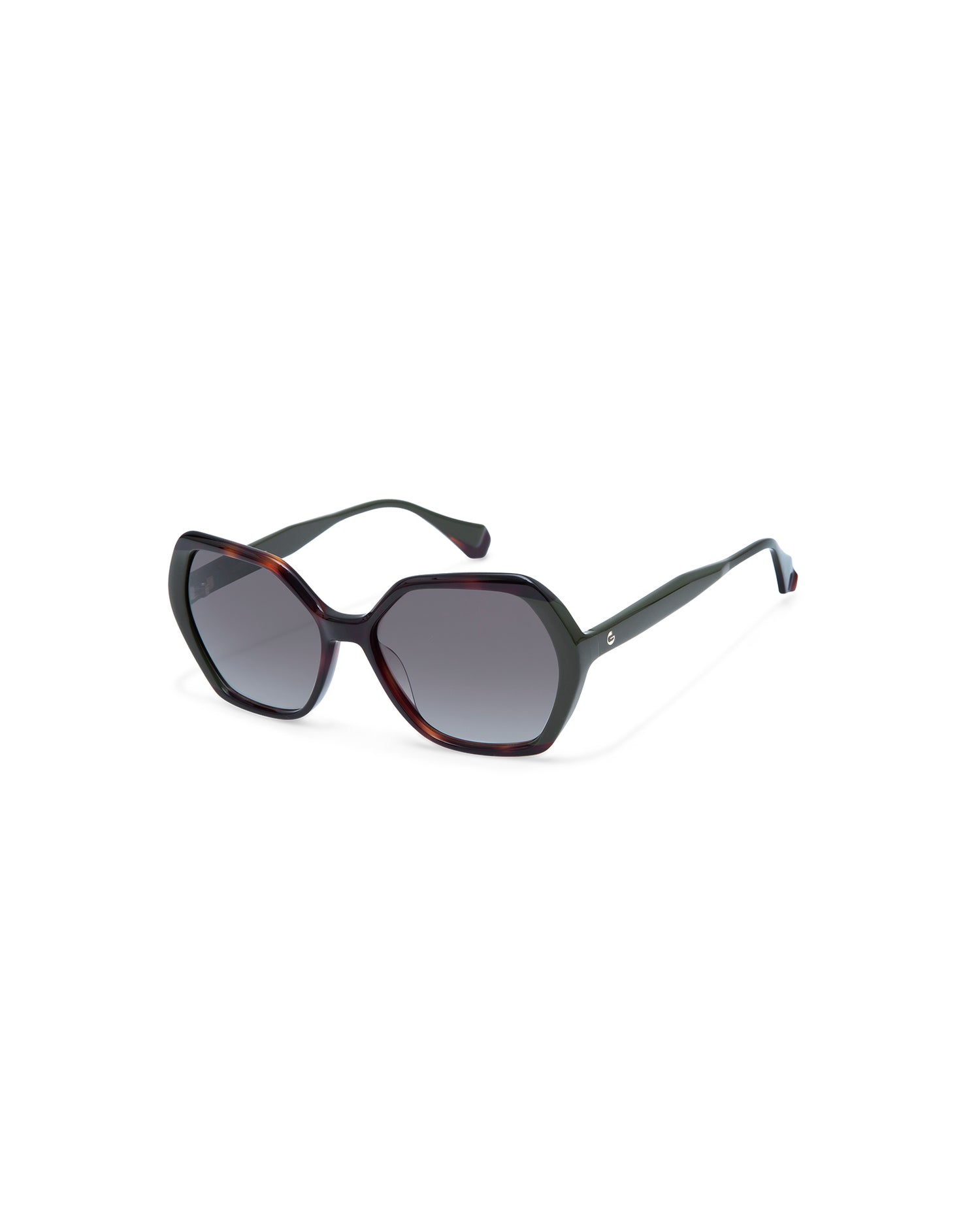 THADEUS: Geométricas Acetato Havana sunglasses by GIGI STUDIOS 4247